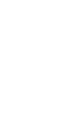 The Four Ferns